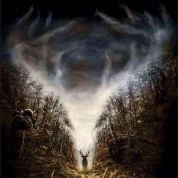 Meet your Posher, Jason - Picture 1 of 1